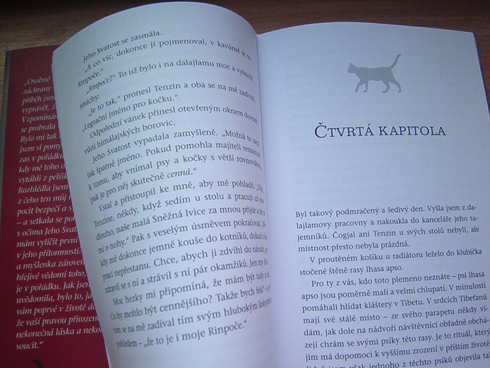David Michie - Dalajlámova kočka