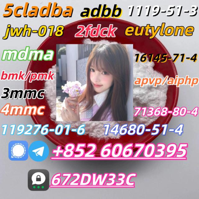 Safe delivery CAS 119276-01-6 China Factory