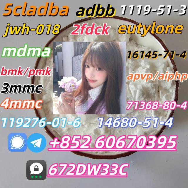 Safe delivery CAS 119276-01-6 China Factory