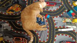 Jsem z toho �pln� ztahan�, u� si nehraju, aspo� drbej.