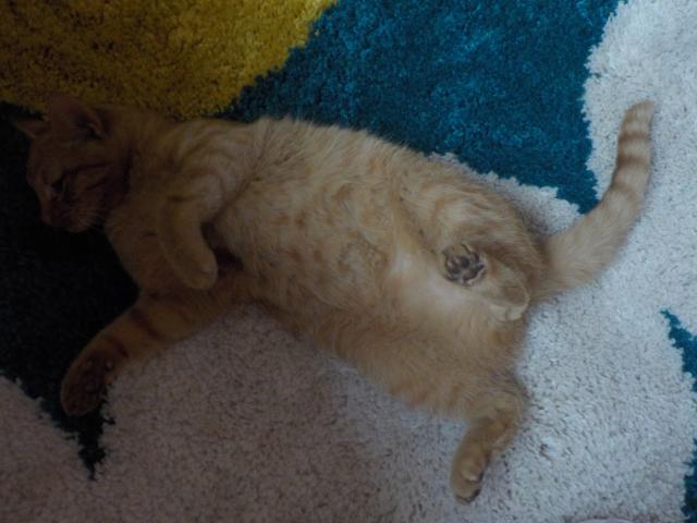 Fotka u koment��e