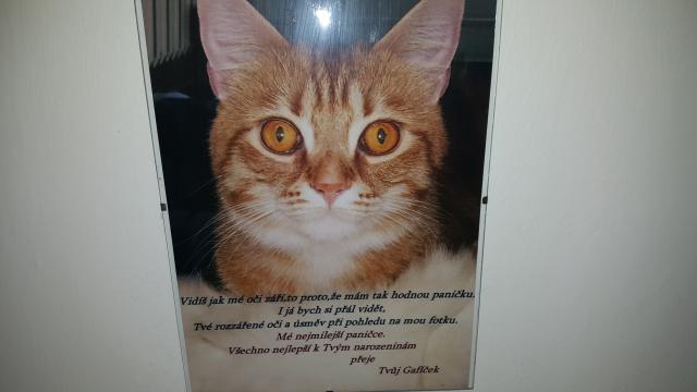 Fotka u komente