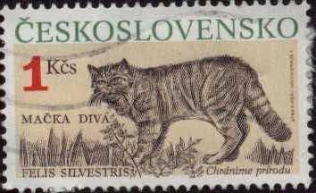 Nzev: Maka Div - potovn znmka z SSR / Vystavovatel: Maxk