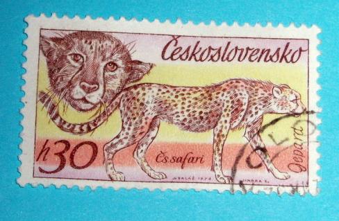 Nzev: Gepard, eskoslovensk safary / Vystavovatel: Vra uptkov