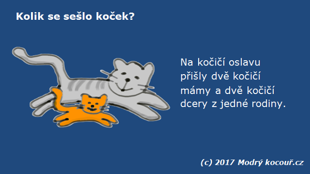 Kv�zou� 26: Kolik se se�lo ko�ek?