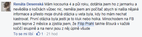 Ze skupiny Kočky, kočky, kočičky na facebooku