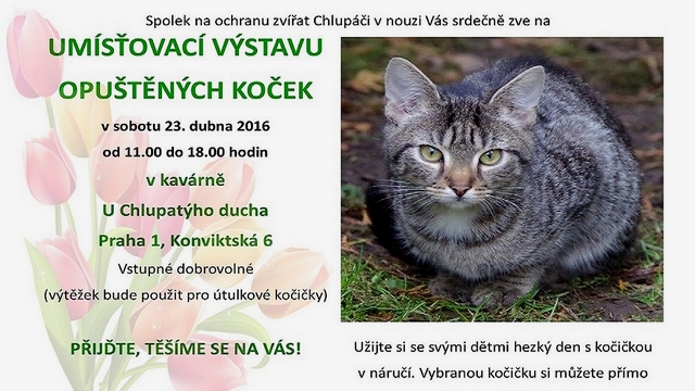 Pozv�nka na&nbsp;umis�ovac� v�stavu ko�ek U&nbsp;Chlupat�ho ducha