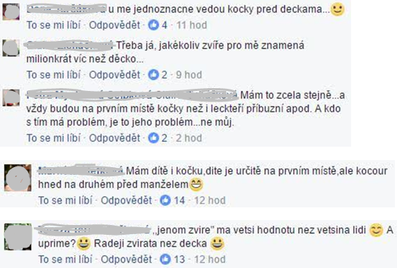 Kočičí skupina?